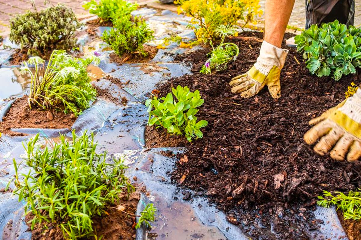 toile de paillage jardinage